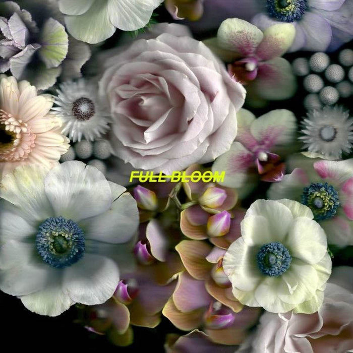 Alpines Full Bloom Vinyl LP New 2018