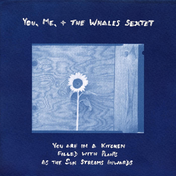 YOU. ME. + THE WHALES SEXTET - You Are In A Kitchen Filled With Plants As The Sun Streams Inward Vinyl LP Due Out 05/06/26
