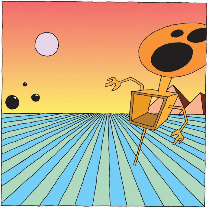 Dismemberment Plan Emergency & I Vinyl LP Orange Colour 2025