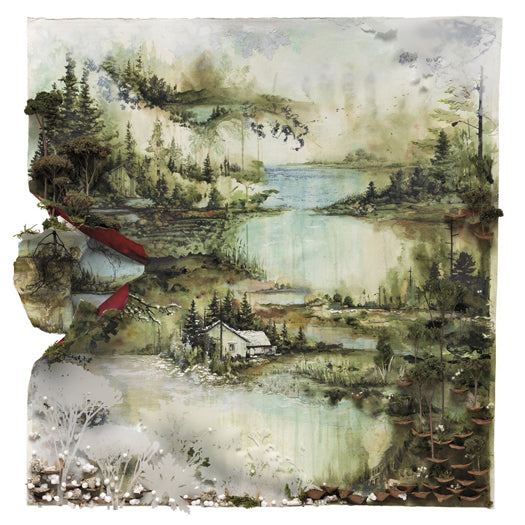 Bon Iver Bon Iver Vinyl LP 2011