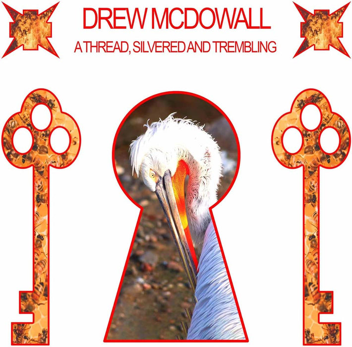 Drew Mcdowall A Thread, Silvered And Trembling Vinyl LP Clear Red Colour 2024