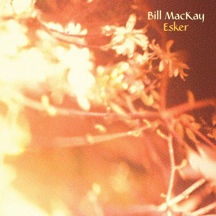 BILL MACKAY Esker Vinyl LP 2017