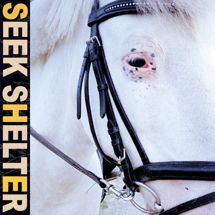 Iceage Seek Shelter Vinyl LP 2021