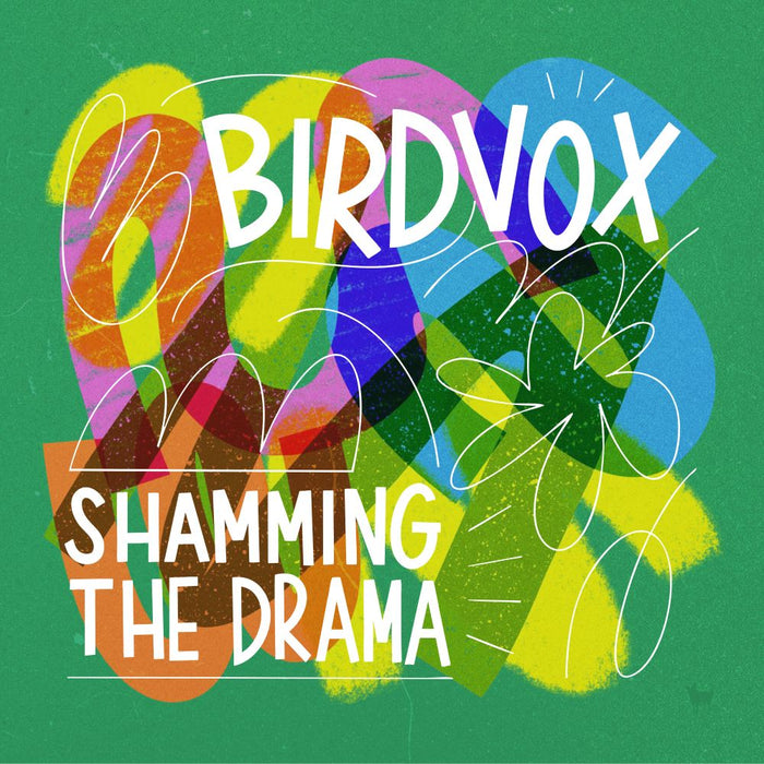 Birdvox Shamming The Drama Vinyl LP Baby Blue Colour Due Out 18/09/26