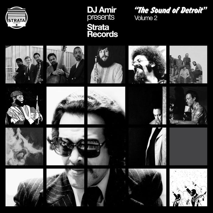 DJ Amir DJ Amir presents Strata Records - The Sound of Detroit Vol. 2 Vinyl LP 2026