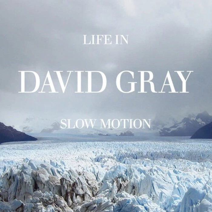 David Gray Life In Slow Motion (20th Anniversary Edition) Vinyl LP 2025
