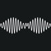 Arctic Monkeys AM Vinyl LP