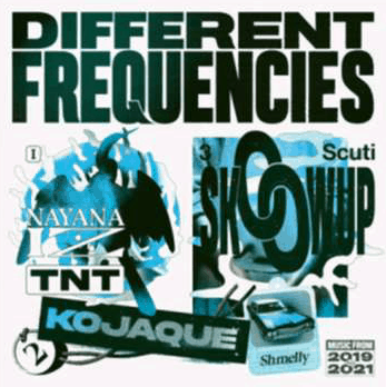 Different Frequencies Vinyl LP National Album Day Transparent Blue Colour 2021