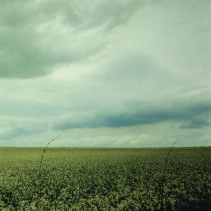 Antarctica 23:03 Vinyl EP Coke Bottle Clear Colour 2024