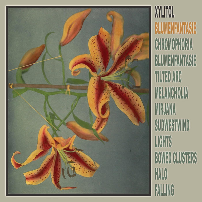 Xylitol Blumenfantasie Vinyl LP 2026
