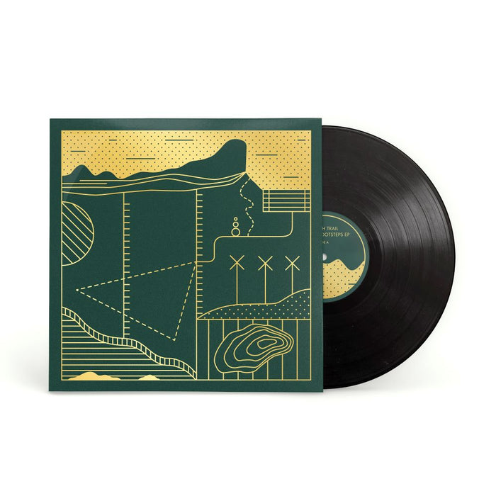 Pictish Trail Follow Footsteps 12" Vinyl EP 2024
