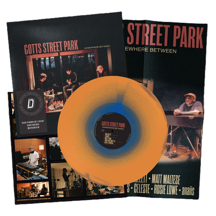 Gotts Street Park Somewhere Between 2026 Ltd Dinked Edition #431