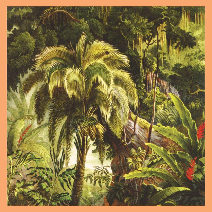 Xiu Xiu La Foret Vinyl LP 2026