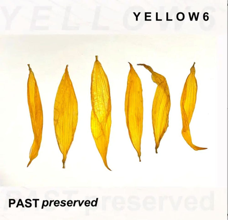 Yellow6 Past Preserved Vinyl LP 2025