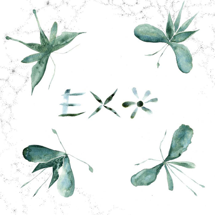 Exo Exo Viny LP 2025