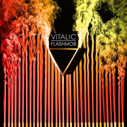 VITALIC FLASHMOB (2026 EDITION) Vinyl LP Due Out 25/09/2026
