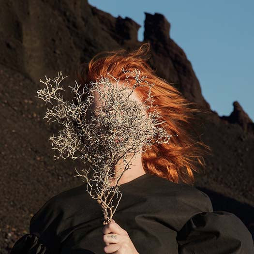 Goldfrapp Silver Eye Vinyl LP 2017