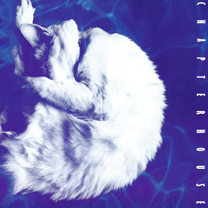 Chapterhouse Whirlpool Vinyl LP Due Out 23/10/26