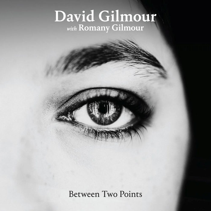 David Gilmour Between Two Points Remixes 12" Vinyl LP RSD 2025
