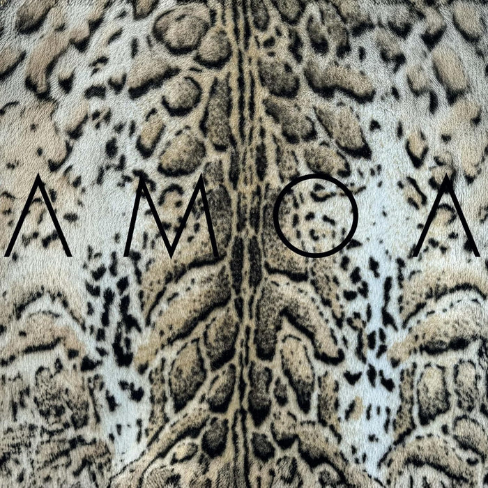 Amoa I'll be kind Vinyl LP 2025
