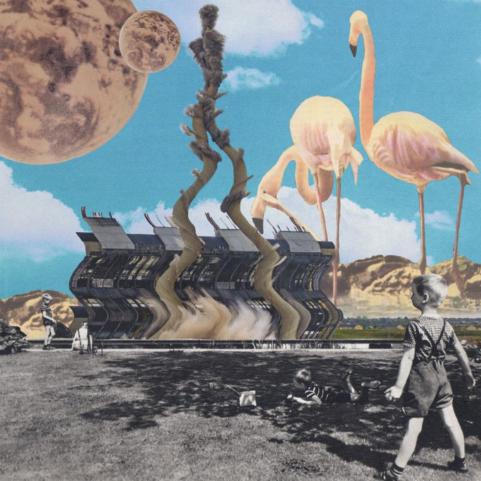 The Rah's The Common Ground Vinyl LP Pink Colour 2024