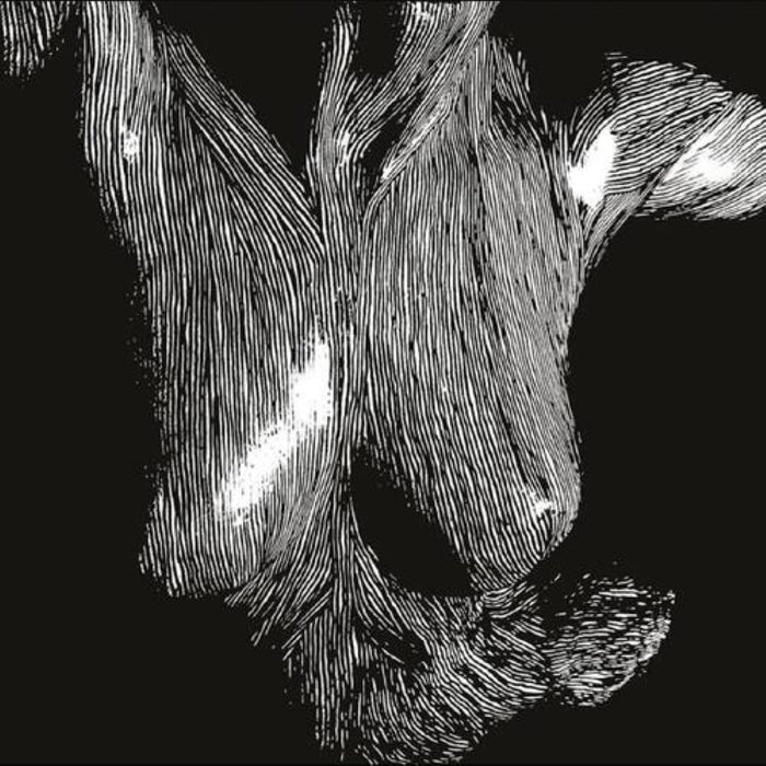 Oceansize Self Preserved While The Bodies Float Up Vinyl LP 15th Anniversary NAD 2025
