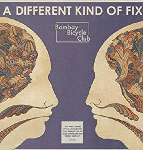 Bombay Bicycle Club Different Kind Of Fix Vinyl LP 2011