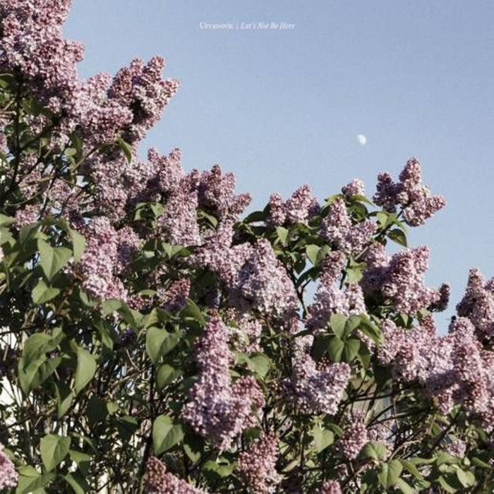 Urvanovic Let's Not Be Here Vinyl LP 2024