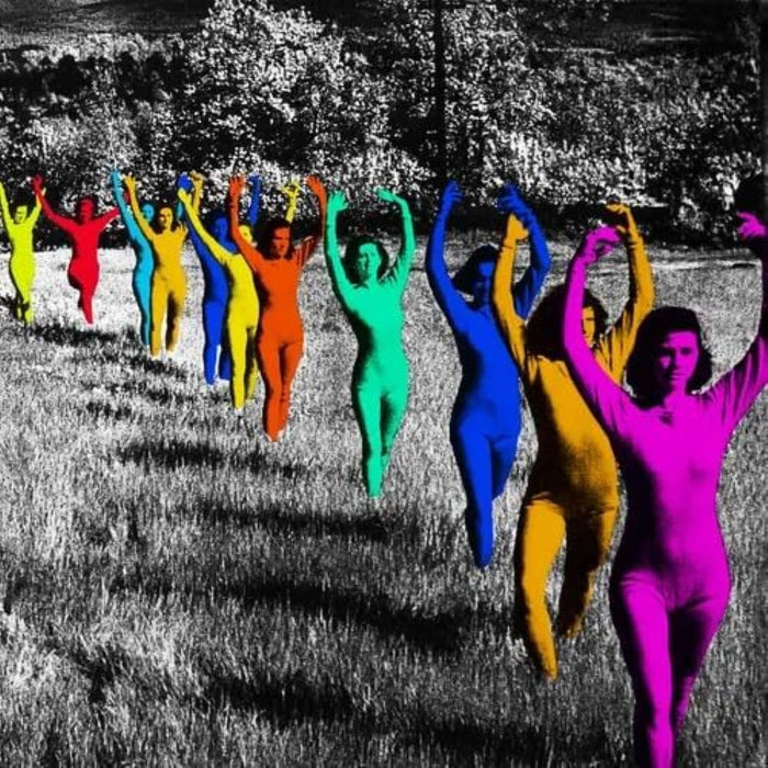 TV GIRL Death Of A Party Girl Vinyl LP Reissue 2025
