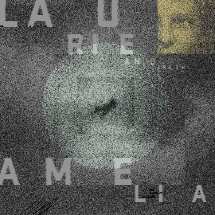Laurie Anderson Amelia Vinyl LP 2024