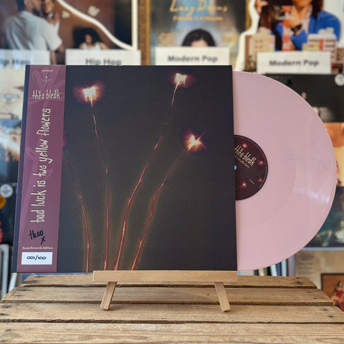 Theo Bleak Bad Luck Is Two Yellow Flowers 12" Vinyl EP 2025