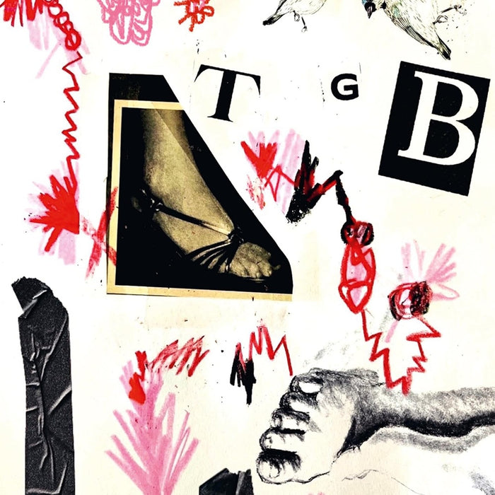 Teri Gender Bender TGB Vinyl LP 2025