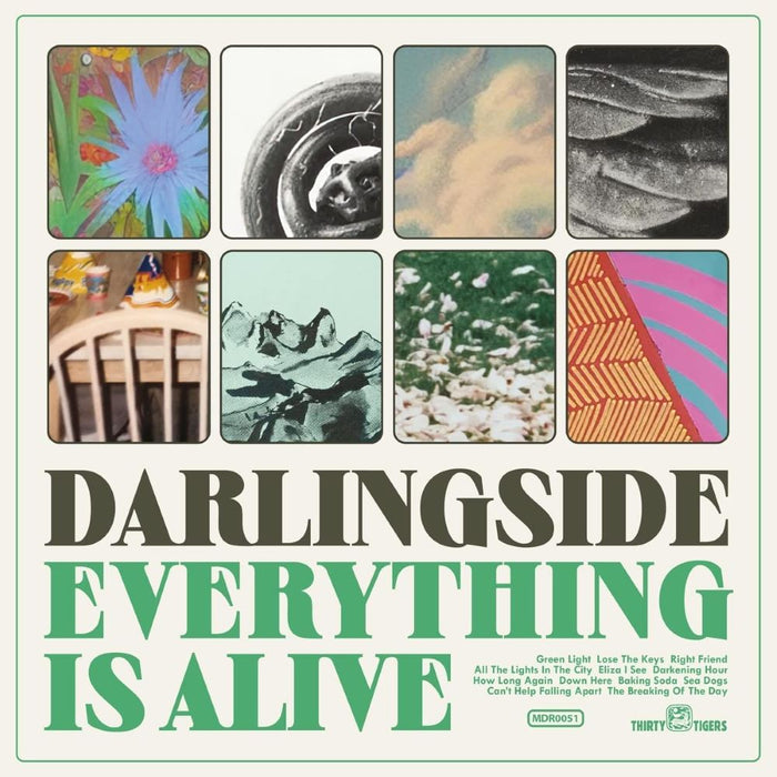 Darlingside Everything Is Alive Vinyl LP 2023