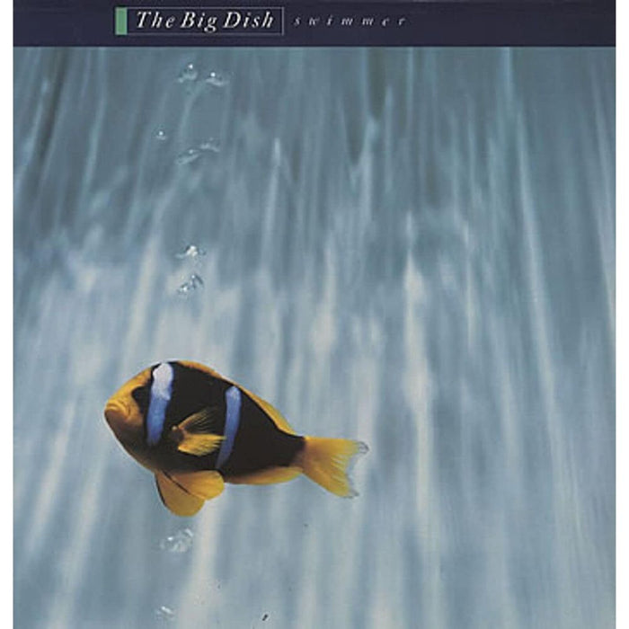 The Big Dish Swimmer (40th Anniversary) Vinyl LP Blue Colour Due Out 30/10/26