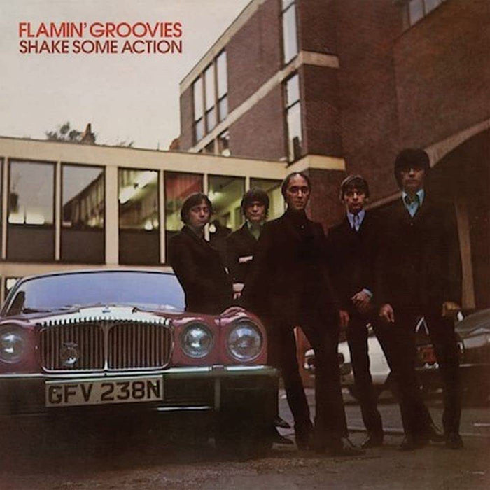 Flamin' Groovies SHAKE SOME ACTION Vinyl LP