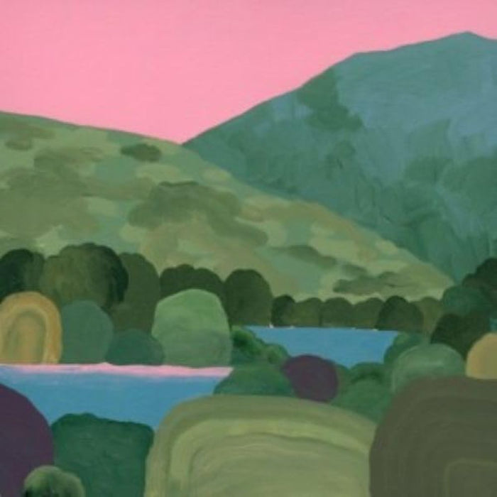 Sewell And The Gong Patron Saint Of Elsewhere Vinyl LP 2025