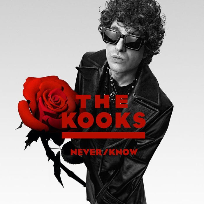 The Kooks Never/ Know Vinyl LP 2025