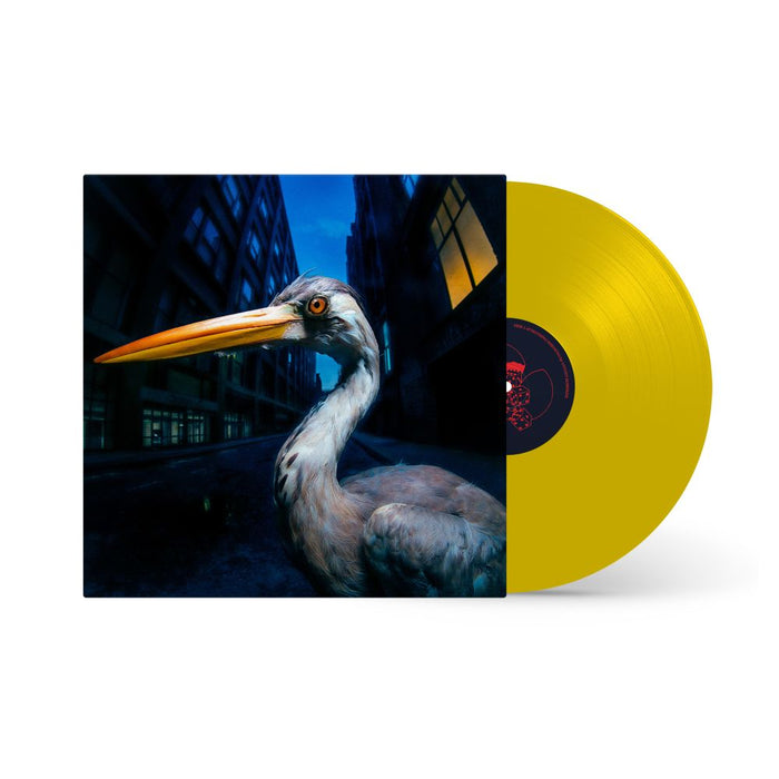 Antony Szmierek Decoding Birdsong Vinyl LP Indies Beak Yellow Colour Due Out 21/08/26
