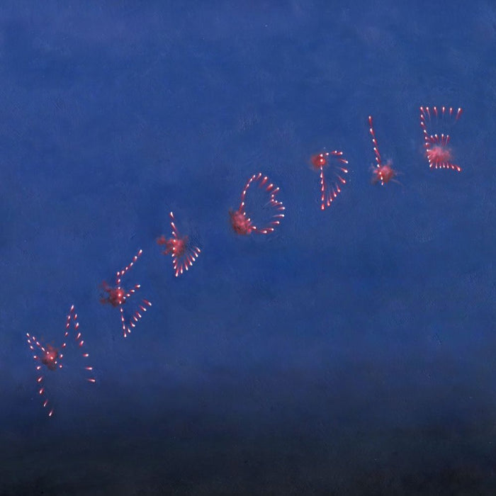 Slow Pulp Melodie Vinyl LP Due Out 18/09/26