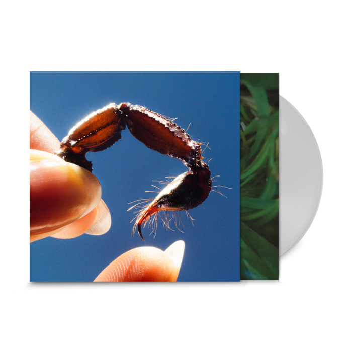 Squid Cowards Vinyl LP Indies Clear Colour 2025