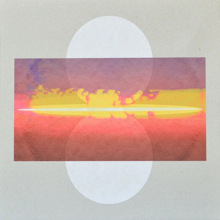 Drone Assembly (Self Titled) Vinyl LP & Screen Printed Cover 2024
