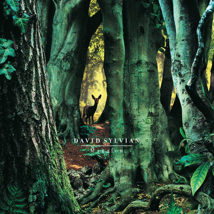 David Sylvian Manafon Vinyl LP 2022