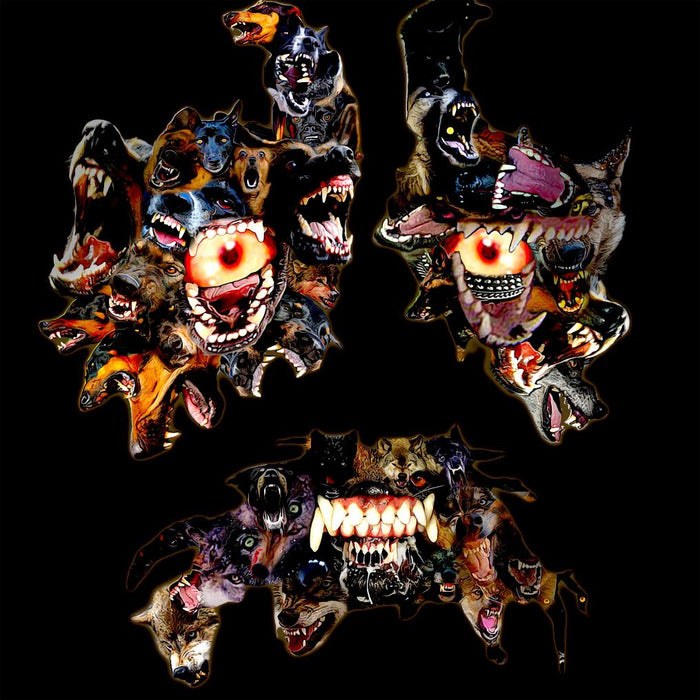 Machine Girl The Ugly Art Vinyl LP Due Out 16/10/26