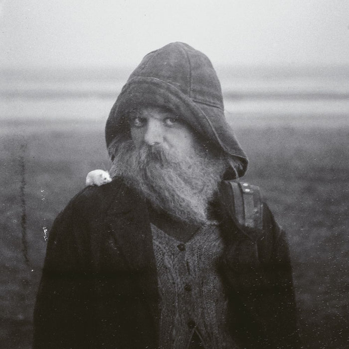 mary in the junkyard Role Model Hermit CD Due Out 03/07/26