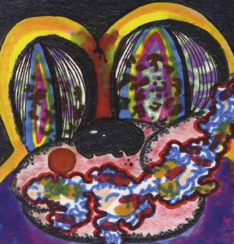 Cage The Elephant Thank You Happy Birthday Vinyl LP 2011