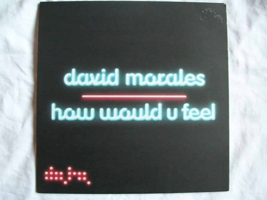 David Morales How Would U Feel 12" Vinyl Single 2006