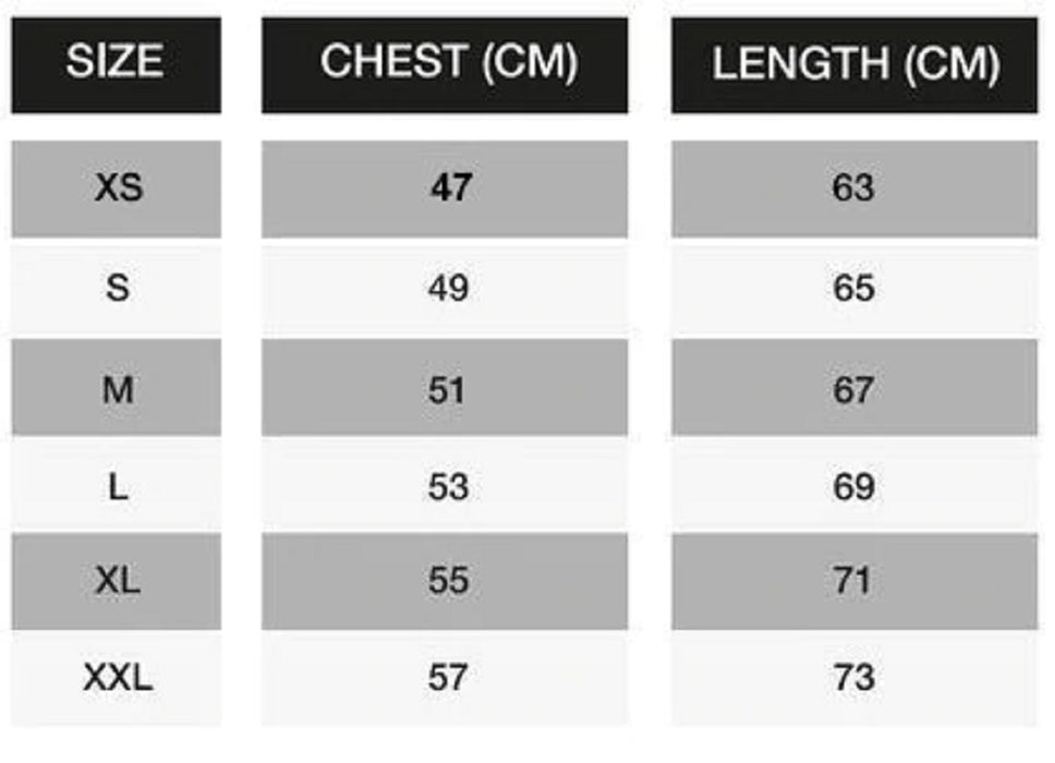 Motorhead Ace Of Spades Amplified Charcoal Medium Unisex T-Shirt