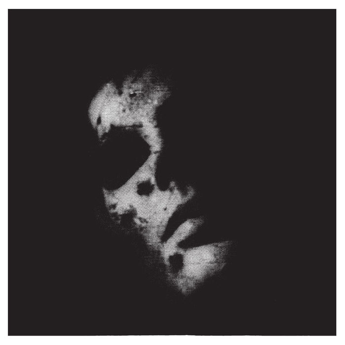 In Solitude Sister Vinyl LP 2013