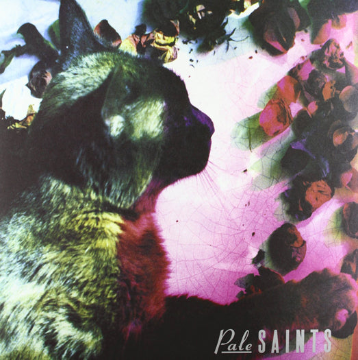 PALE SAINTS COMFORTS OF MADNESS LP VINYL NEW (US) 33RPM