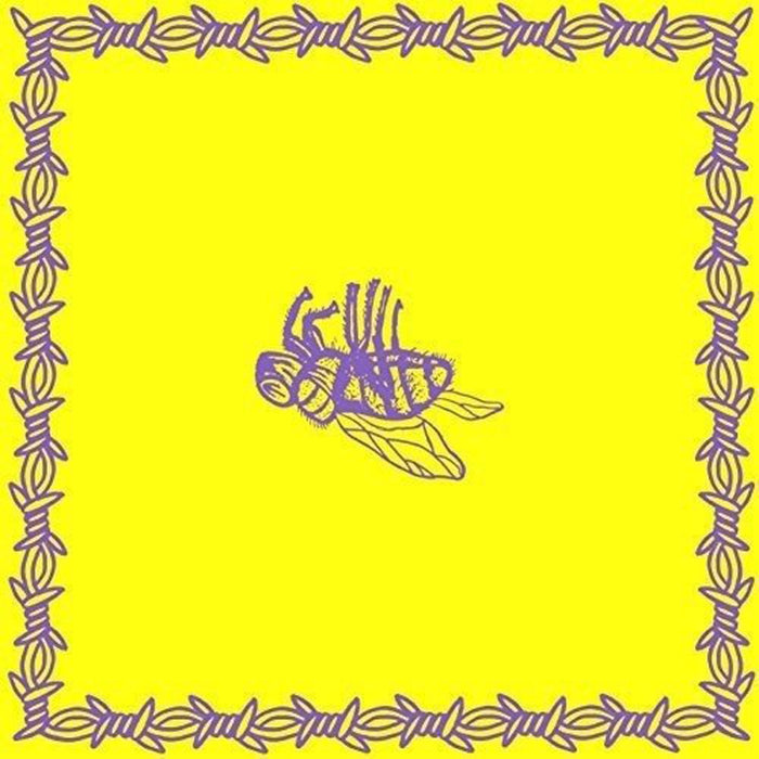 Milk Teeth Be Nice Vinyl EP Yellow Colour 2017